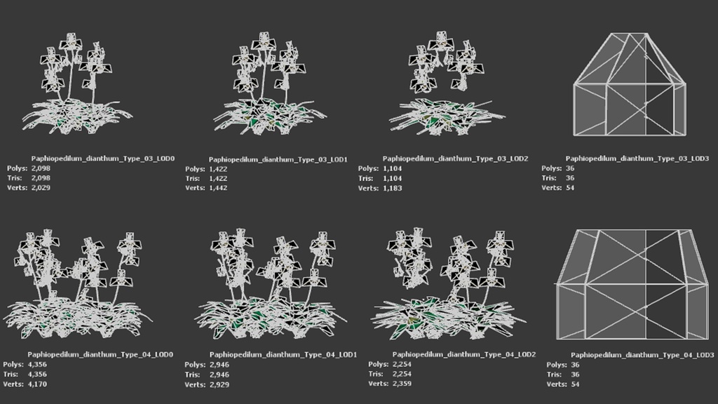 幻の蘭 パフィオペディルム・ディアンサム 3Dモデル
