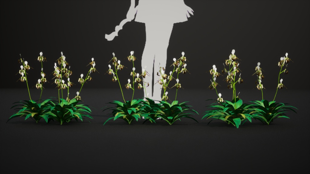 幻の蘭 パフィオペディルム・ディアンサム 3Dモデル