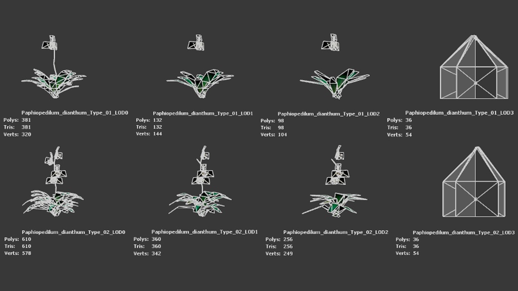幻の蘭 パフィオペディルム・ディアンサム 3Dモデル