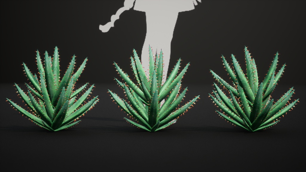 砂漠の宝石 アロエ・エリナケア 3Dモデル