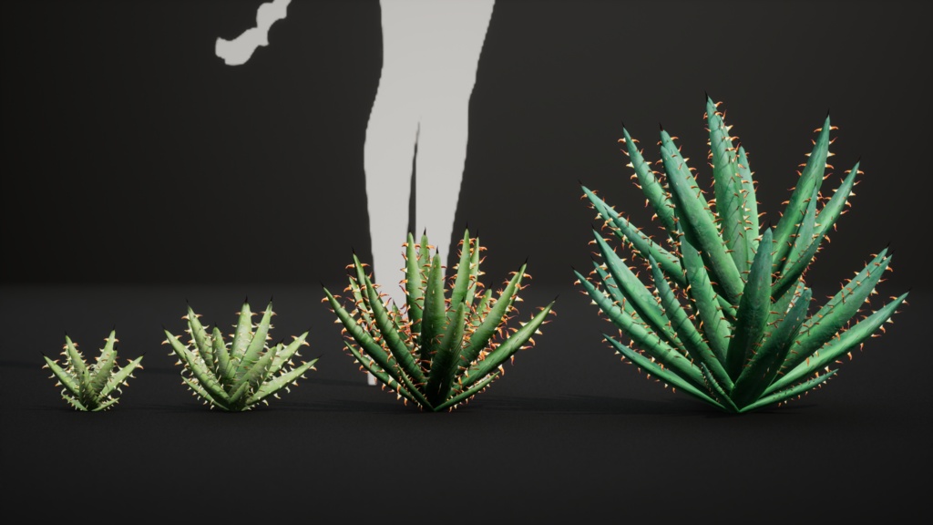 砂漠の宝石 アロエ・エリナケア 3Dモデル