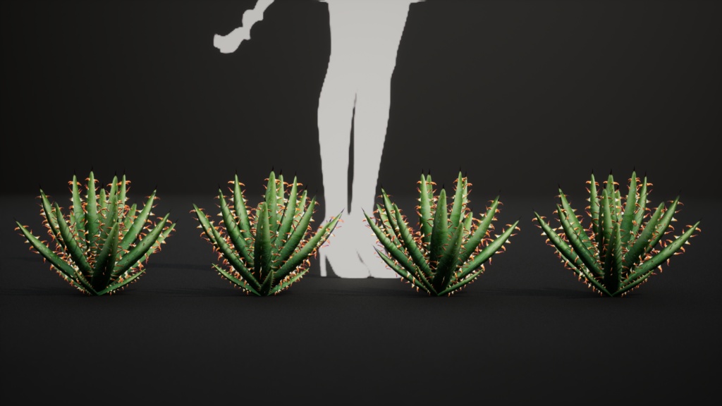 砂漠の宝石 アロエ・エリナケア 3Dモデル