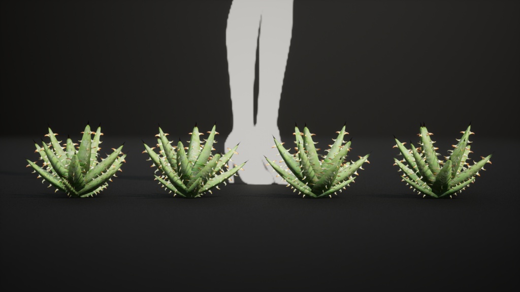 砂漠の宝石 アロエ・エリナケア 3Dモデル