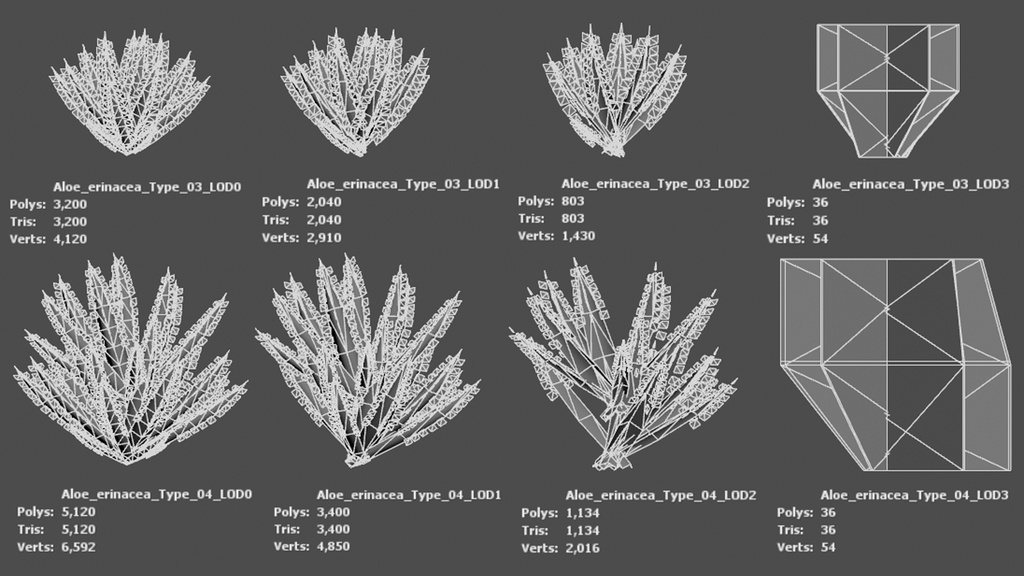 砂漠の宝石 アロエ・エリナケア 3Dモデル