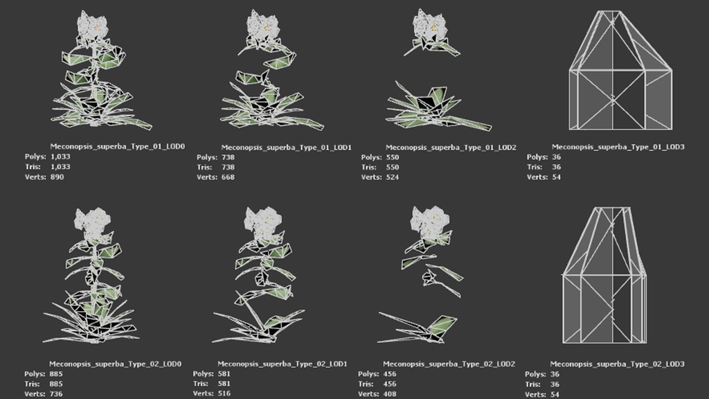 幻の青いケシ - Meconopsis superba 3Dモデル