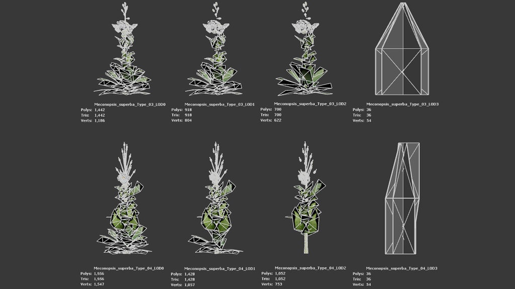 幻の青いケシ - Meconopsis superba 3Dモデル