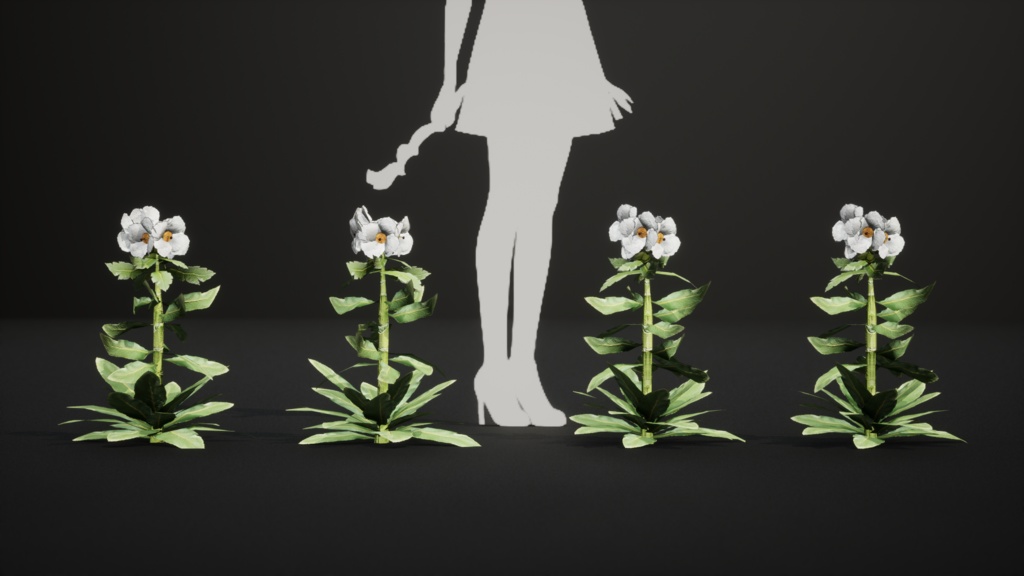 幻の青いケシ - Meconopsis superba 3Dモデル