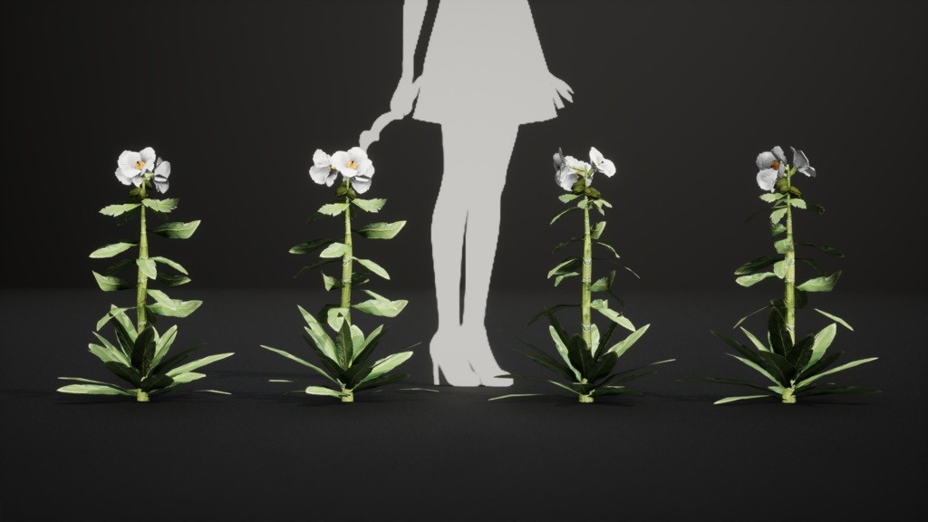 幻の青いケシ - Meconopsis superba 3Dモデル