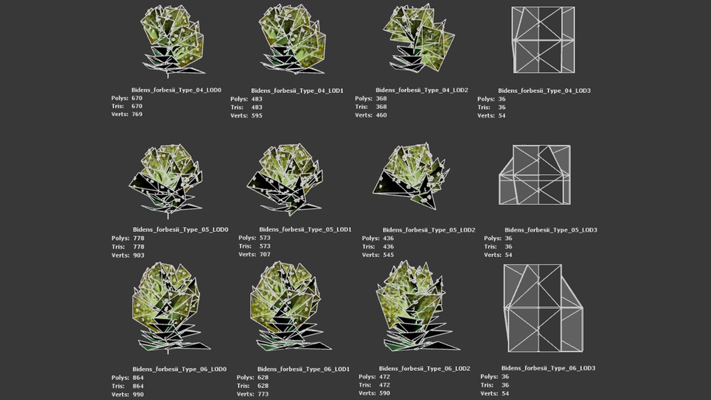 6希少なハワイの花 ビデンス・フォーブシー 3Dモデル
