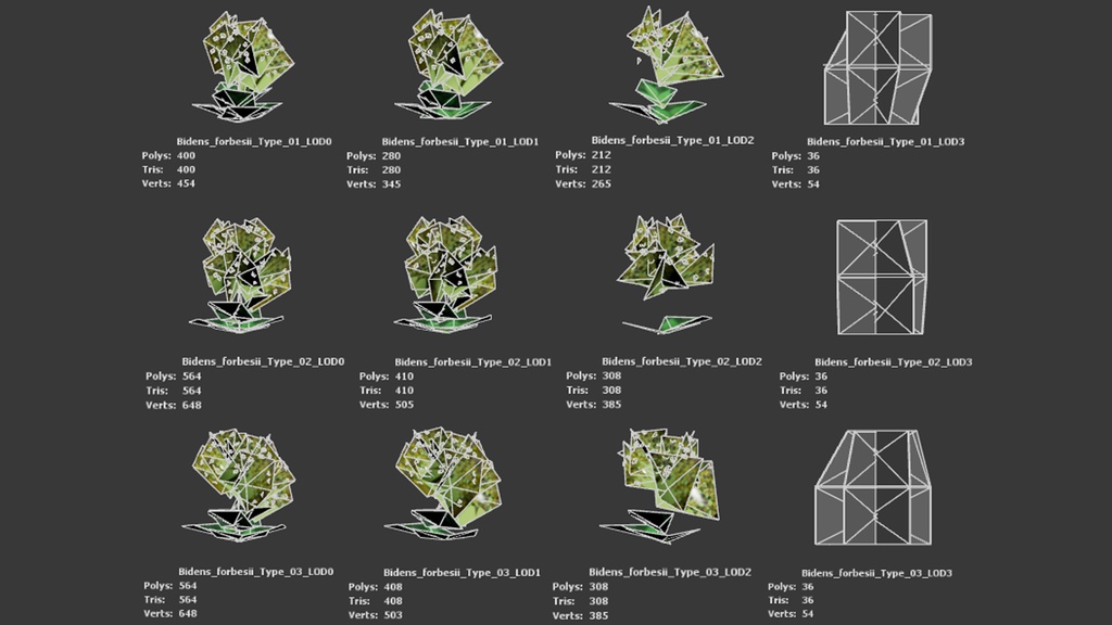 6希少なハワイの花 ビデンス・フォーブシー 3Dモデル