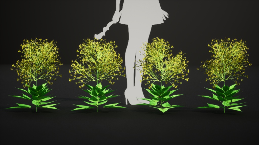 6希少なハワイの花 ビデンス・フォーブシー 3Dモデル