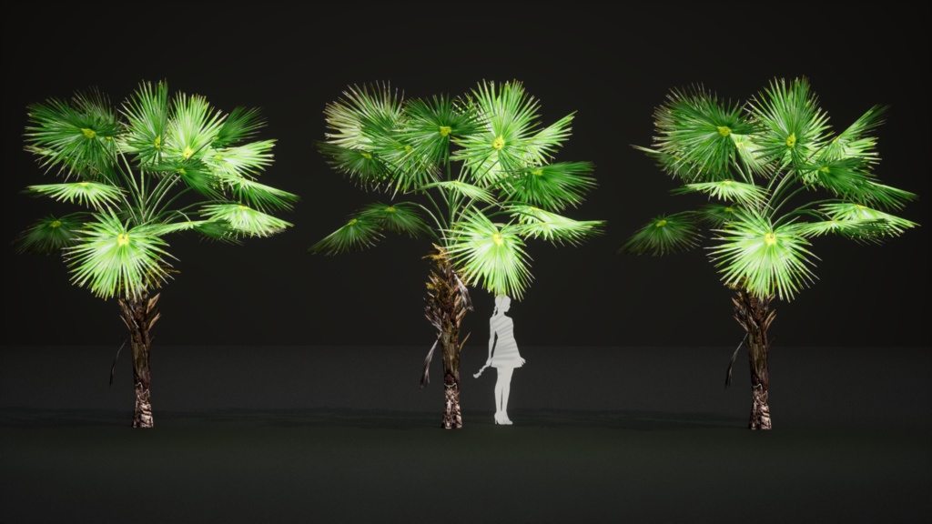 6 ハワイの希少なヤシ プリチャルディア・ミノール 3Dモデル