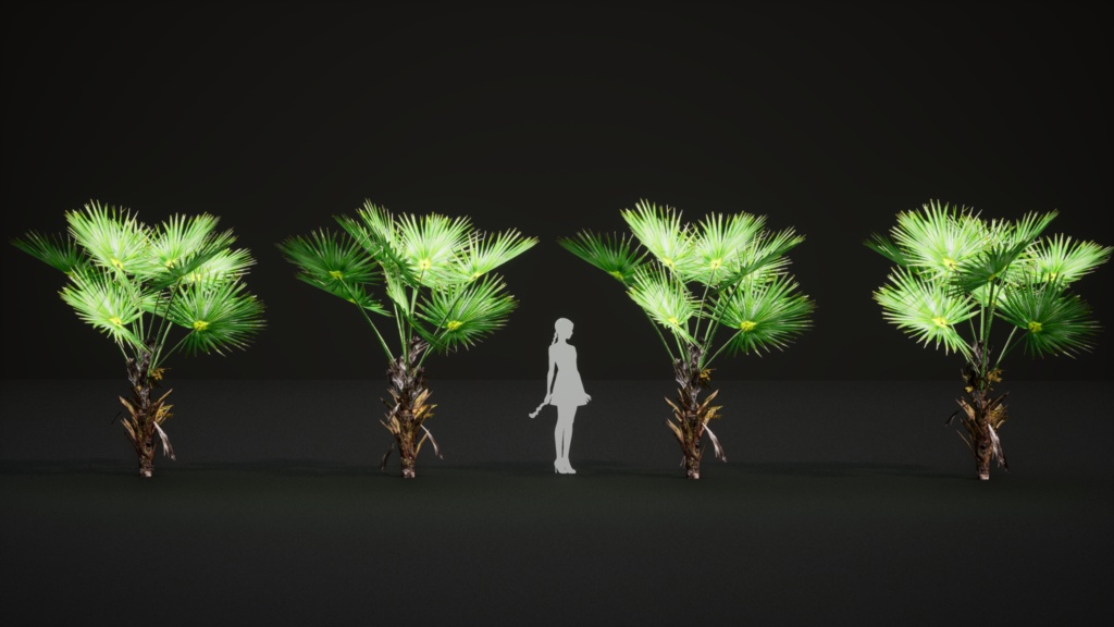 6 ハワイの希少なヤシ プリチャルディア・ミノール 3Dモデル