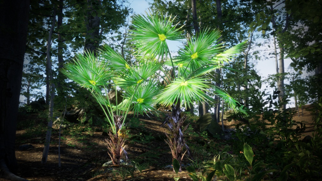 6 ハワイの希少なヤシ プリチャルディア・ミノール 3Dモデル