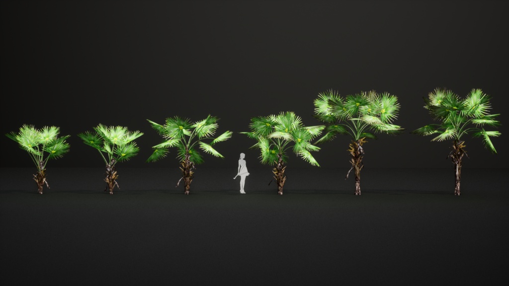 6 ハワイの希少なヤシ プリチャルディア・ミノール 3Dモデル