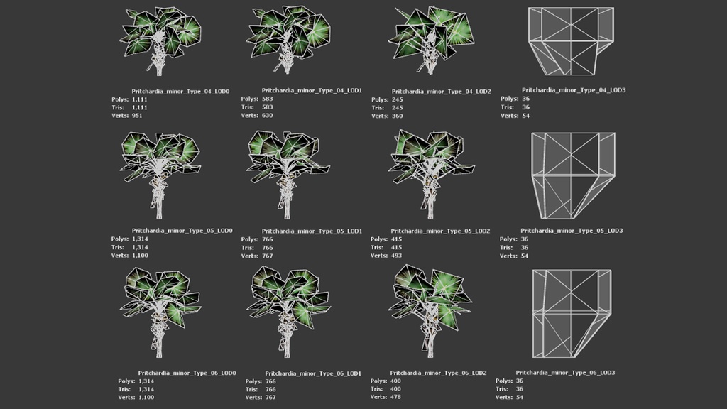 6 ハワイの希少なヤシ プリチャルディア・ミノール 3Dモデル