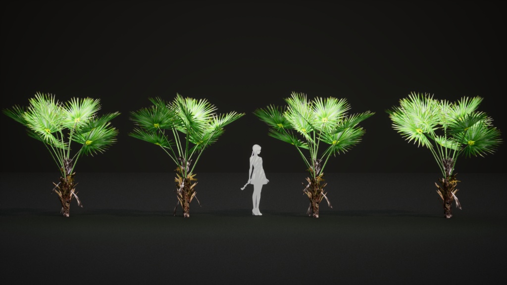 6 ハワイの希少なヤシ プリチャルディア・ミノール 3Dモデル