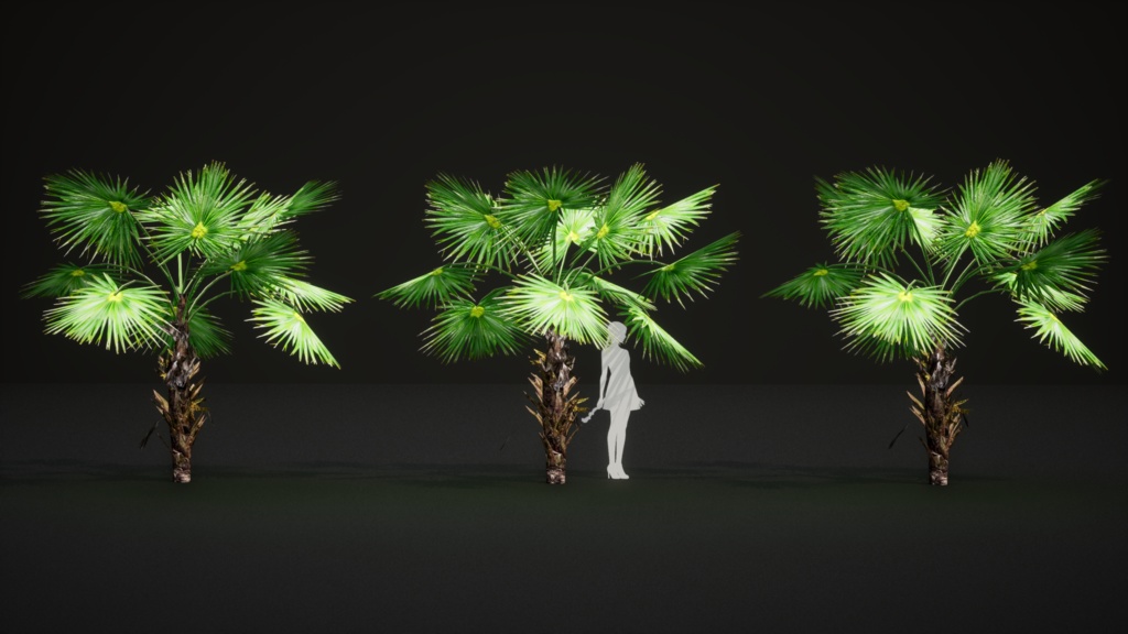 6 ハワイの希少なヤシ プリチャルディア・ミノール 3Dモデル