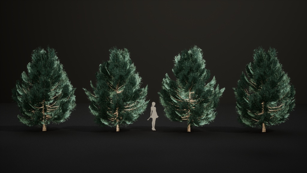 カナリア諸島の遺産 ジュニペルス・セドラス 3Dモデル