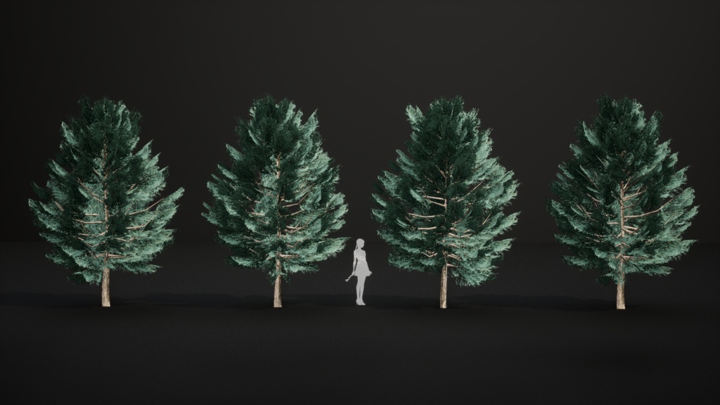 カナリア諸島の遺産 ジュニペルス・セドラス 3Dモデル