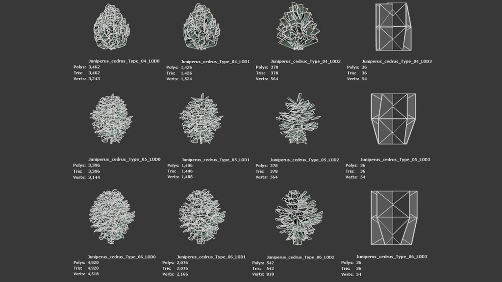 カナリア諸島の遺産 ジュニペルス・セドラス 3Dモデル