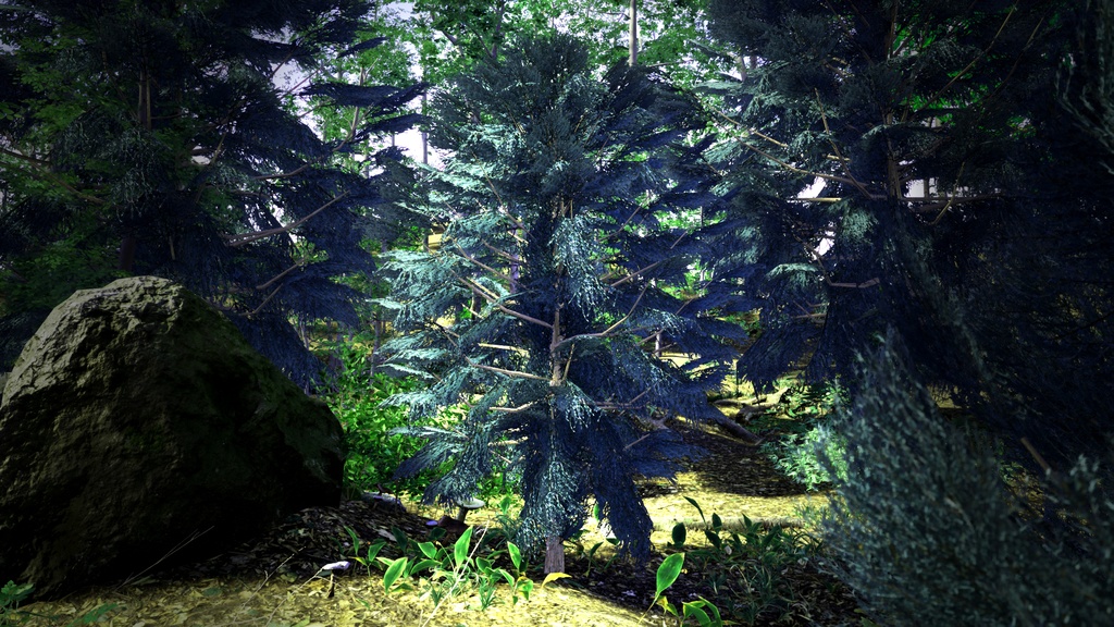 カナリア諸島の遺産 ジュニペルス・セドラス 3Dモデル