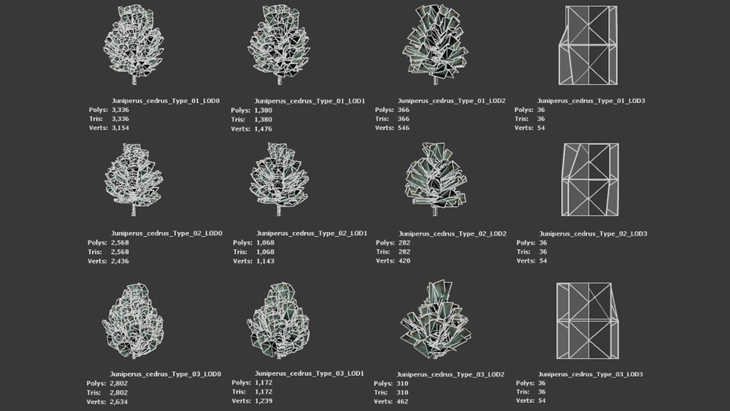 カナリア諸島の遺産 ジュニペルス・セドラス 3Dモデル