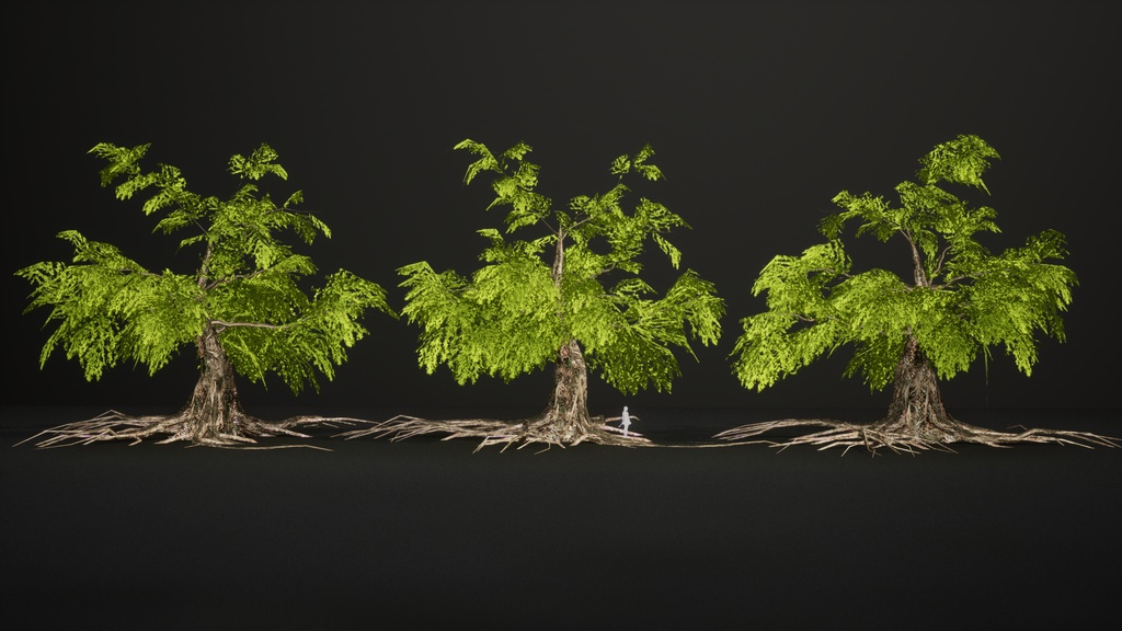 生きた化石 メタセコイア(曙杉) 3Dモデル