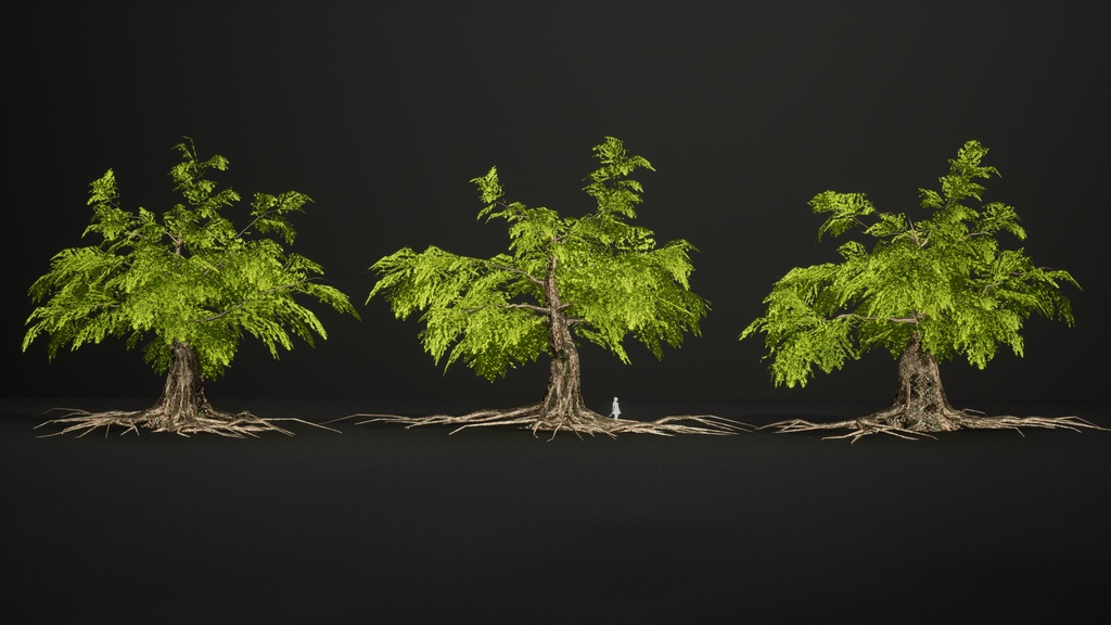 生きた化石 メタセコイア(曙杉) 3Dモデル