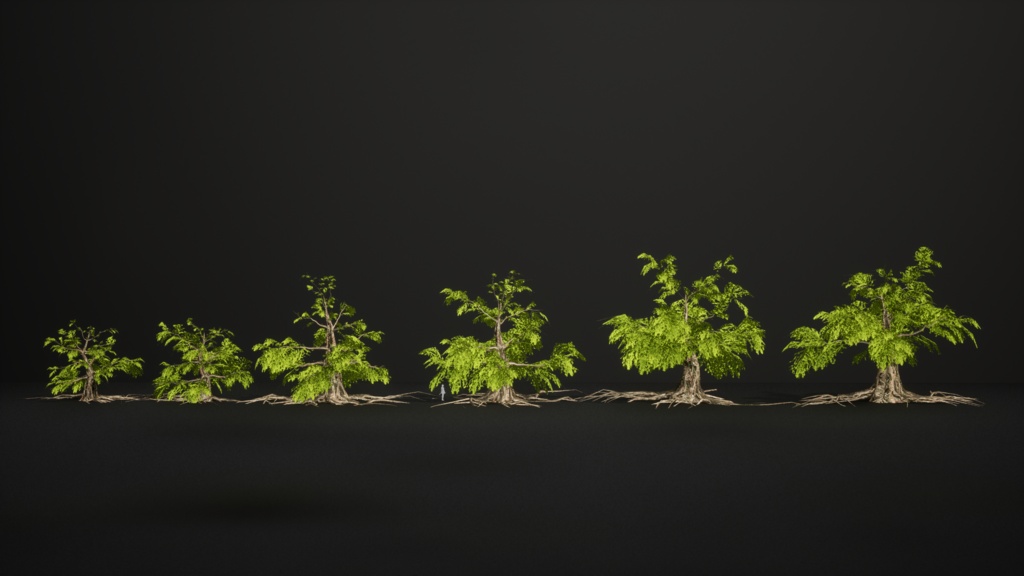 生きた化石 メタセコイア(曙杉) 3Dモデル