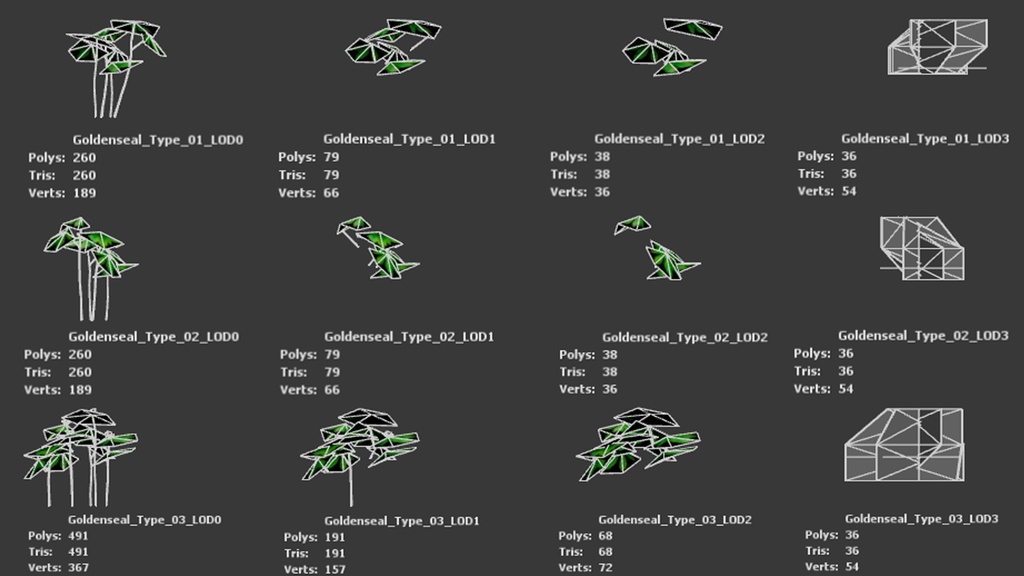 希少な薬草 ゴールデンシール 3Dモデル