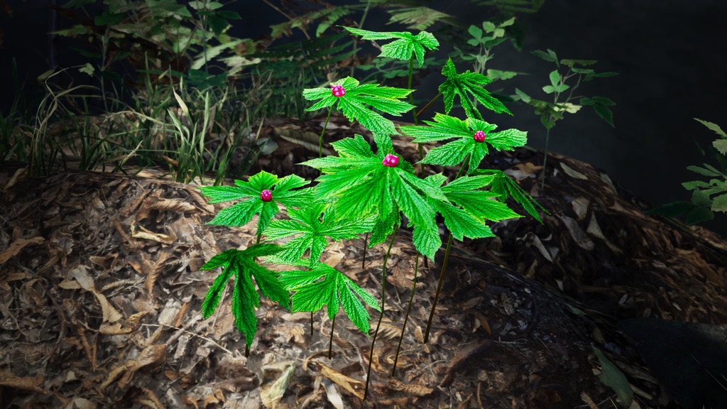 希少な薬草 ゴールデンシール 3Dモデル