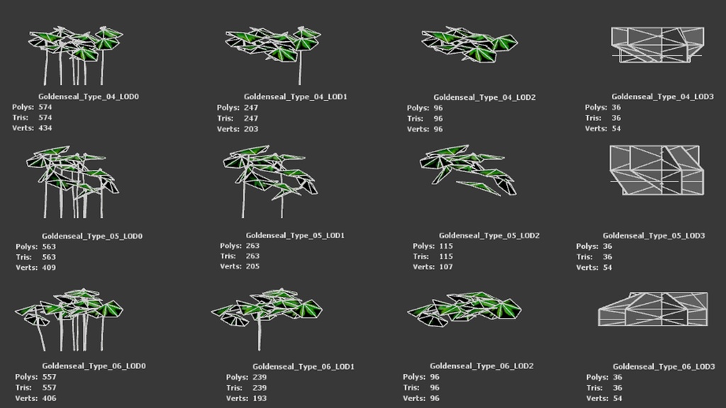希少な薬草 ゴールデンシール 3Dモデル