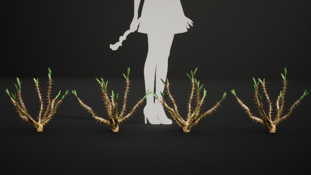 希少な多肉植物 ユーフォルビア・ホフシュタッテリ 3Dモデル