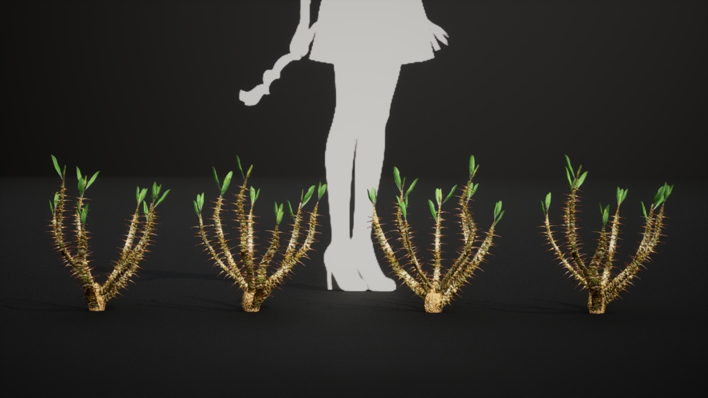 希少な多肉植物 ユーフォルビア・ホフシュタッテリ 3Dモデル