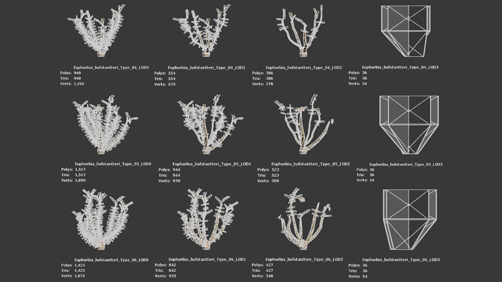 希少な多肉植物 ユーフォルビア・ホフシュタッテリ 3Dモデル