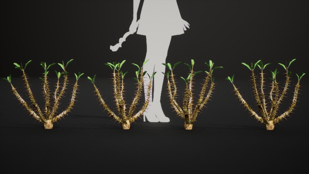 希少な多肉植物 ユーフォルビア・ホフシュタッテリ 3Dモデル