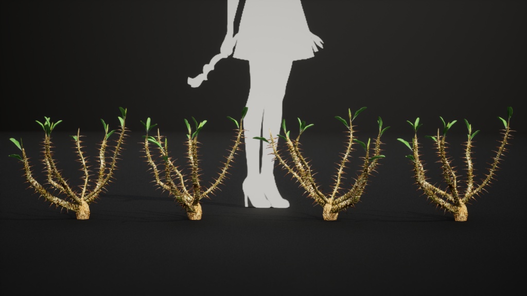 希少な多肉植物 ユーフォルビア・ホフシュタッテリ 3Dモデル