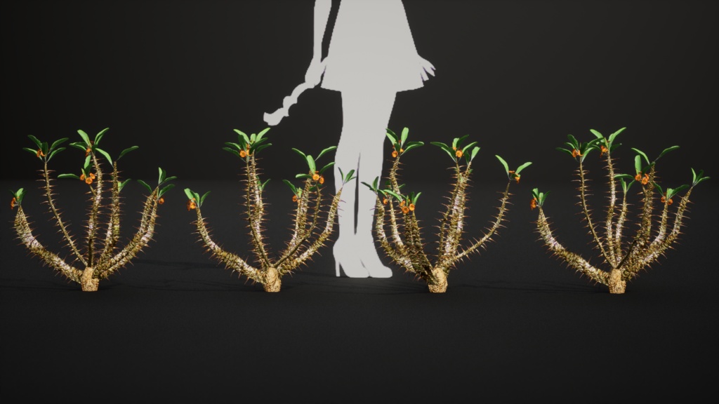 希少な多肉植物 ユーフォルビア・ホフシュタッテリ 3Dモデル