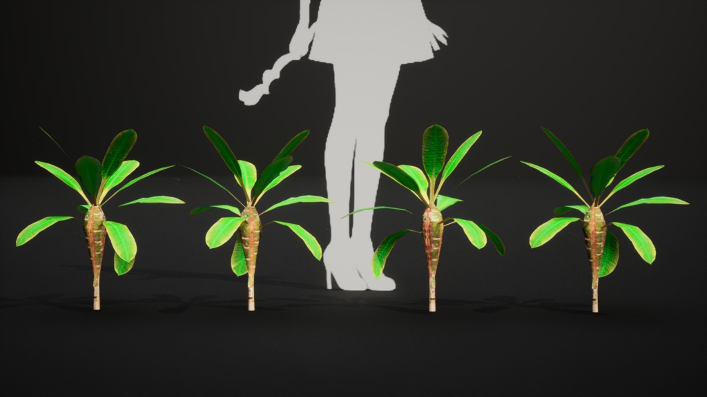 白脈の美 ユーフォルビア・レウコニュラ 3Dモデル