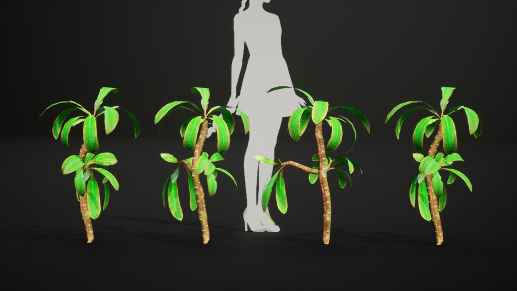 白脈の美 ユーフォルビア・レウコニュラ 3Dモデル