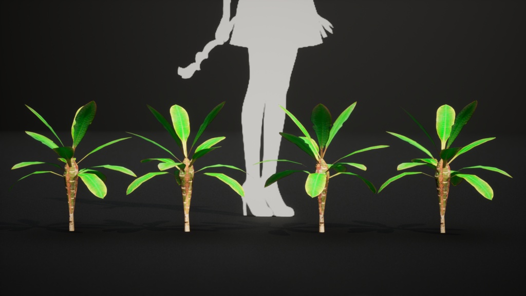 白脈の美 ユーフォルビア・レウコニュラ 3Dモデル