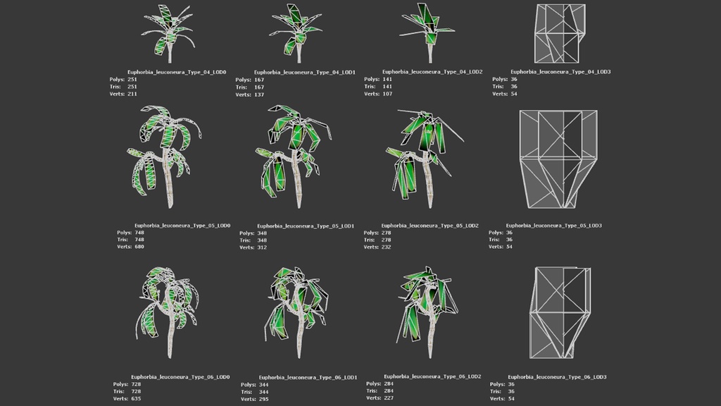 白脈の美 ユーフォルビア・レウコニュラ 3Dモデル
