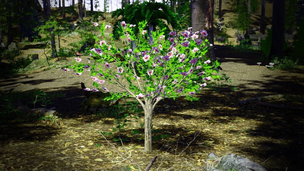 韓国ムグンファ 02(無窮花) 3Dパック