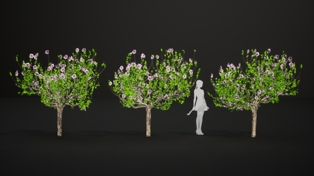 韓国ムグンファ 02(無窮花) 3Dパック