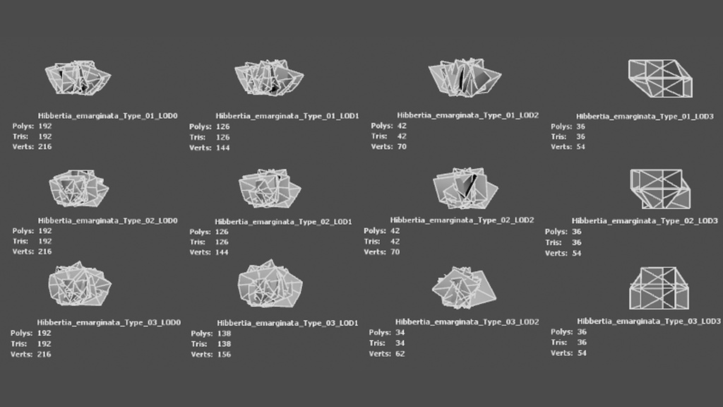 希少な黄金の花 ヒベルティア・エマルギナタ 3Dモデル