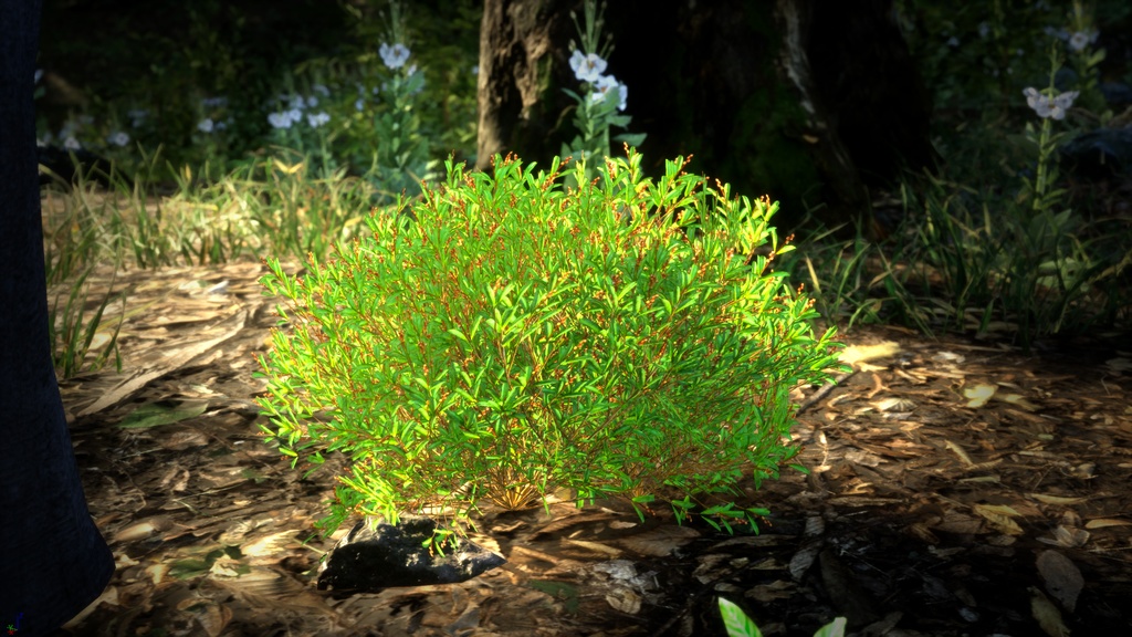 希少な黄金の花 ヒベルティア・エマルギナタ 3Dモデル