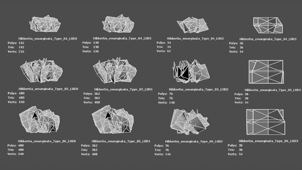 希少な黄金の花 ヒベルティア・エマルギナタ 3Dモデル