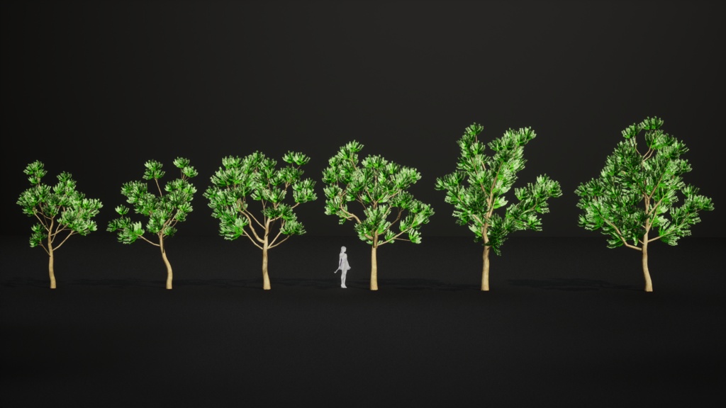 ニューカレドニアの遺産 アガチス・オバタ 3Dモデル