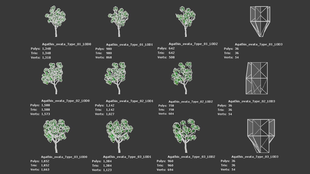 ニューカレドニアの遺産 アガチス・オバタ 3Dモデル